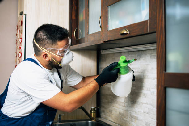 Best Pest Control Near Me in Somerset, KY