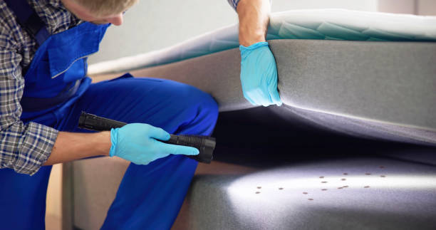 Reliable Somerset, KY Pest Control Solutions